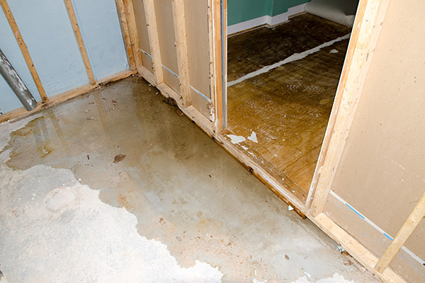 Buying A Home With Water Damage