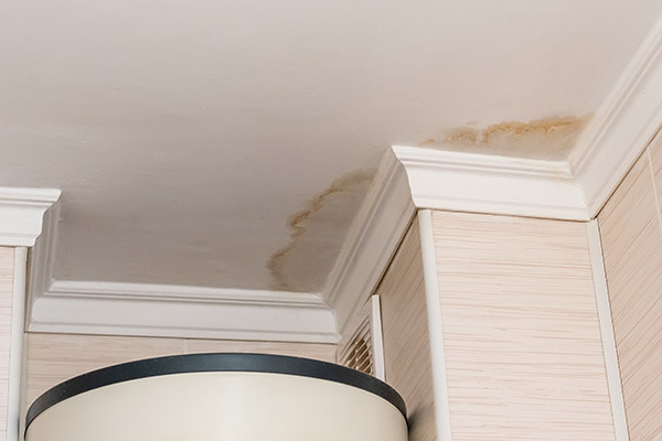 Why Timing Matters When It Comes To Water Damage Restoration