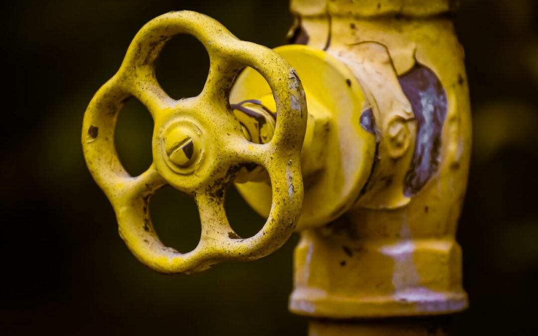 A Homeowner’s Guide to Repairing and Preventing Burst Pipes