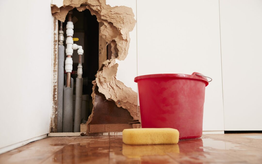 Immediate Steps to Take When You Have a Burst Bathroom Pipe