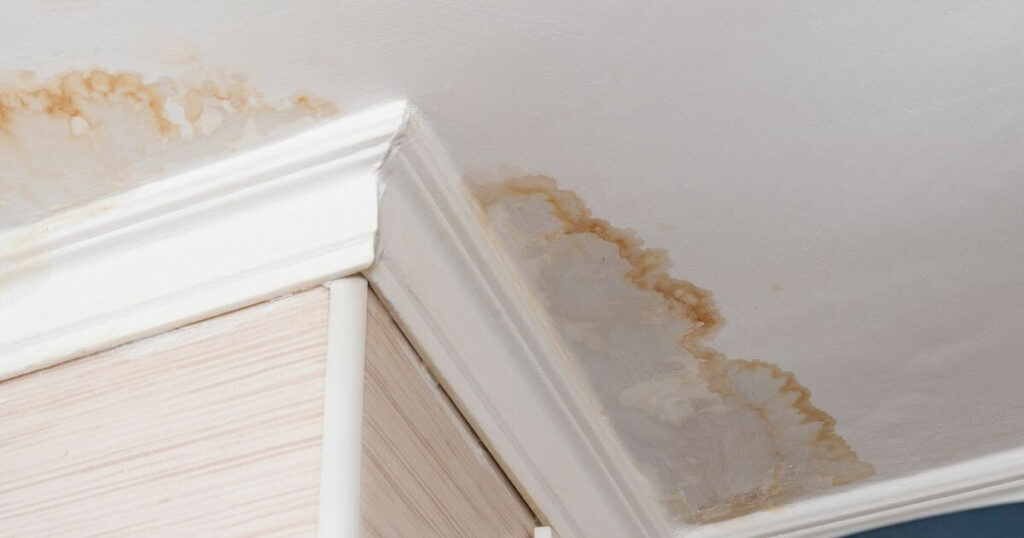 Recognizing Mold in Your Home